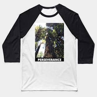 Perseverance motivational photo of giant redwood Baseball T-Shirt